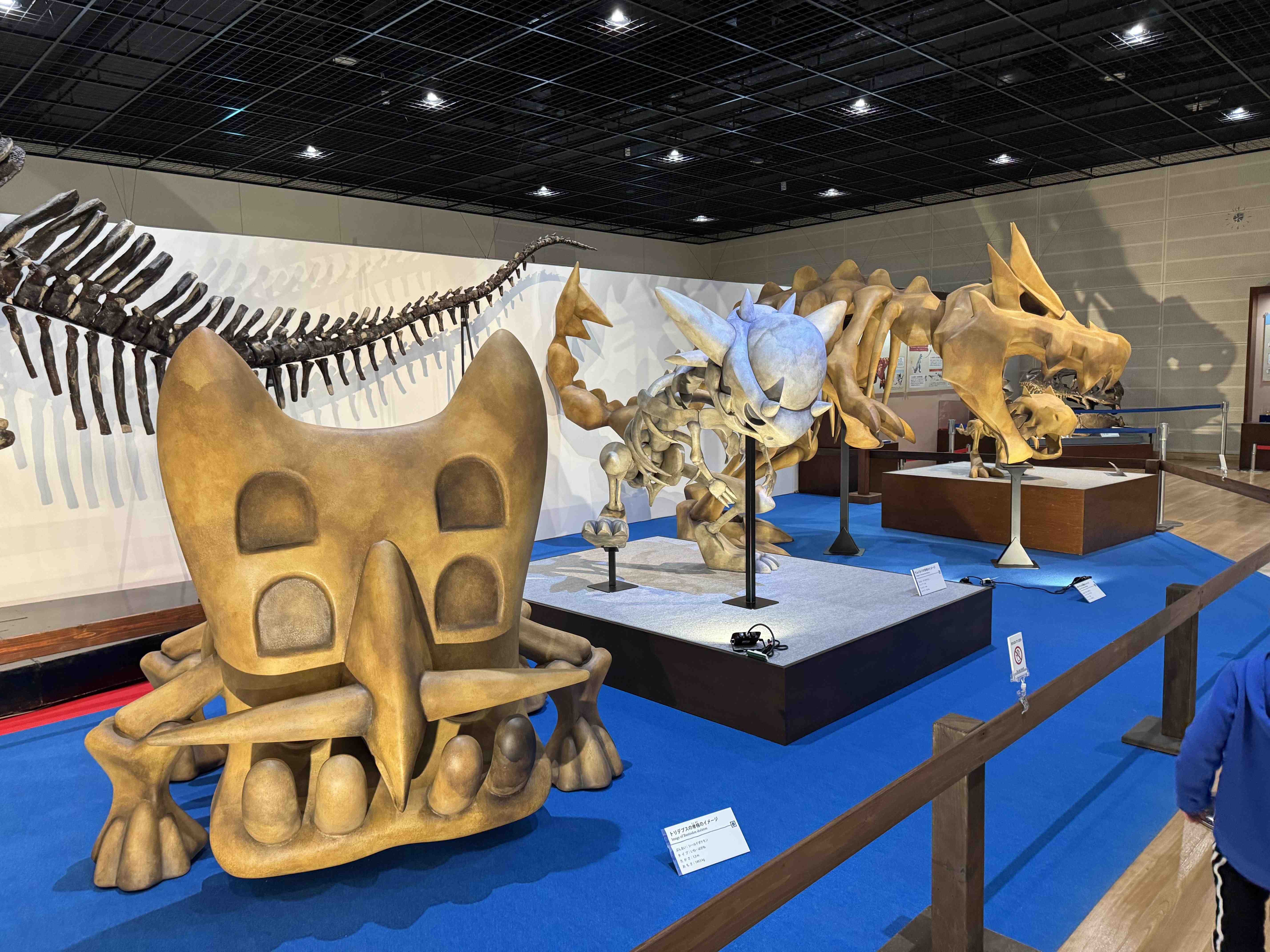 🏛️ 미네 시립 아키요시다이 과학박물관 (미네시리츠 아키요시다이 카가쿠하쿠부츠칸) 이미지 4